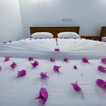 Yala Safari Green Home Stay Tissamaharama Ngoại thất bức ảnh