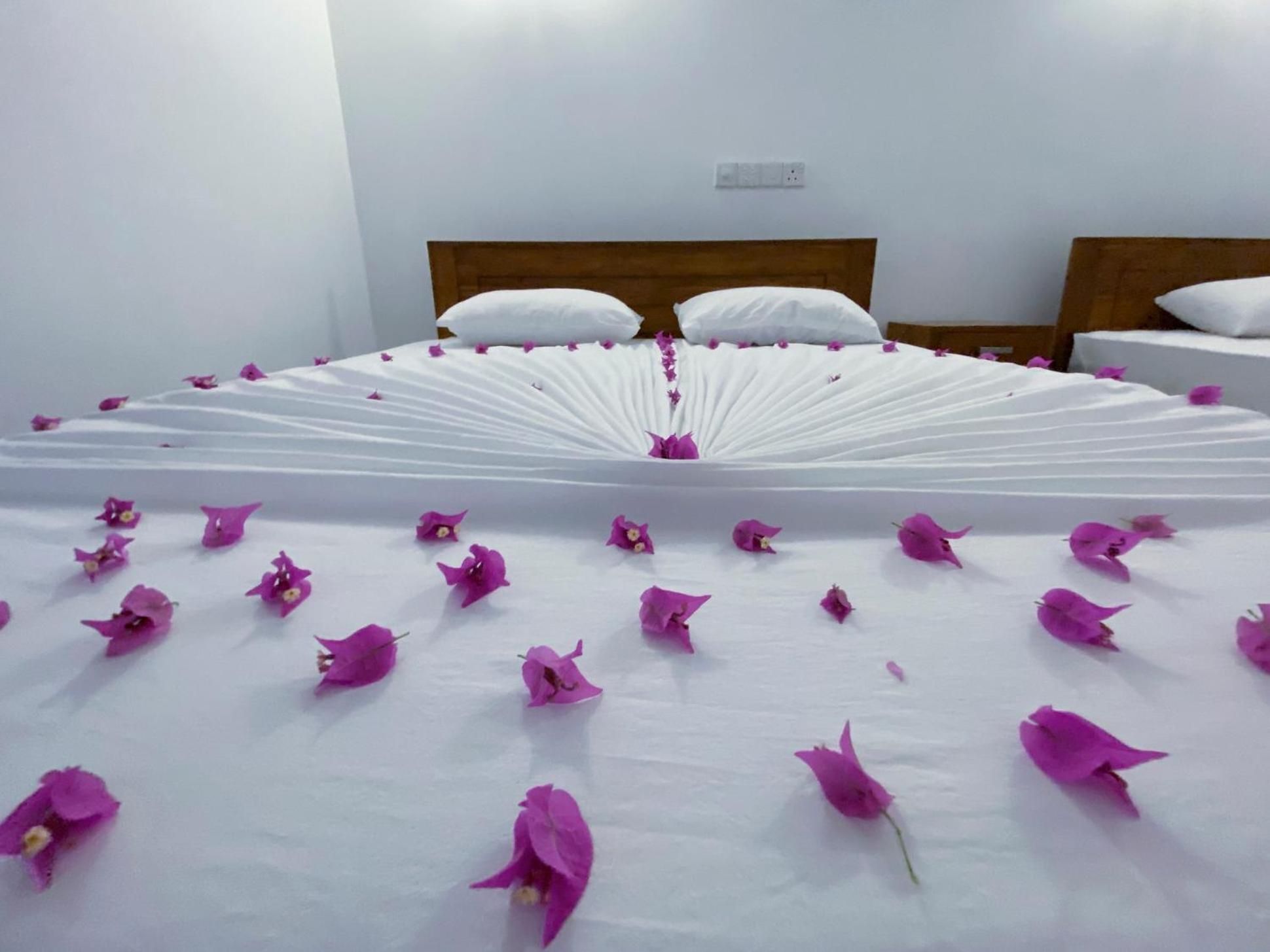 Yala Safari Green Home Stay Tissamaharama Ngoại thất bức ảnh